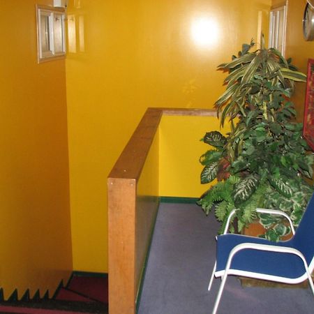Hostal El Mirador Punta Arenas Dış mekan fotoğraf