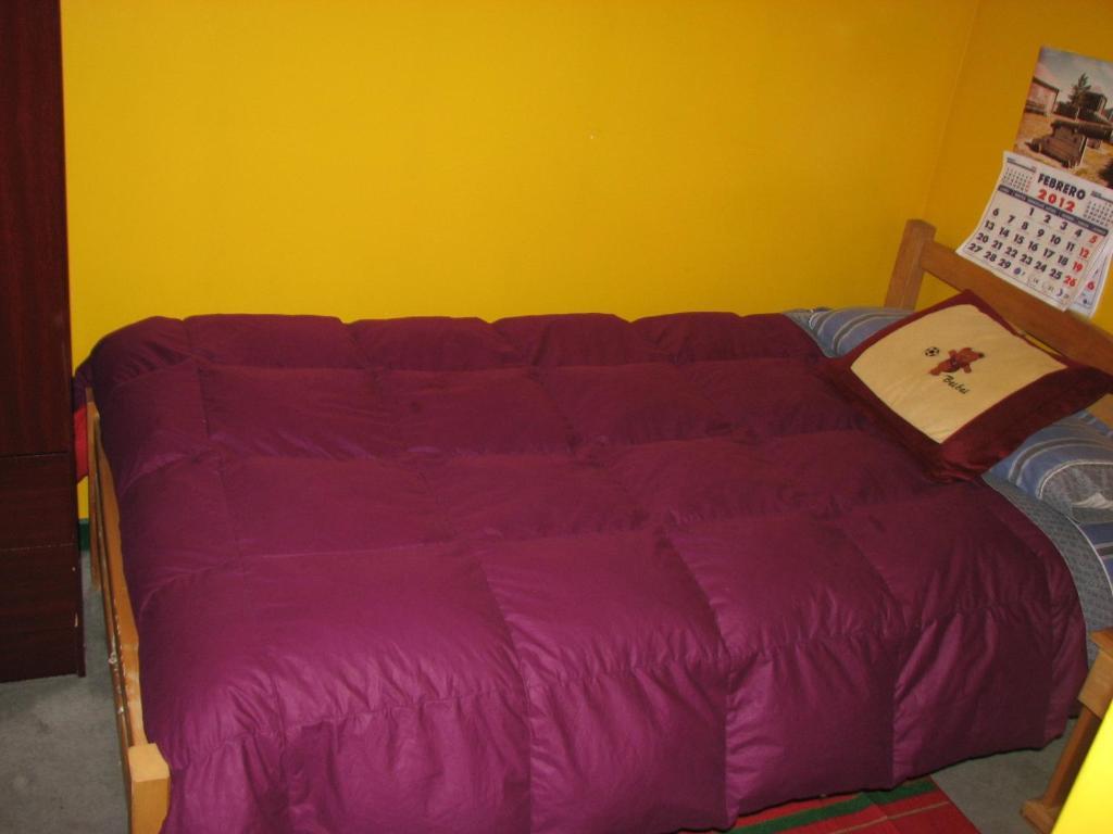 Hostal El Mirador Punta Arenas Oda fotoğraf
